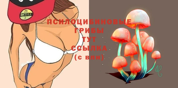 ПСИЛОЦИБИНОВЫЕ ГРИБЫ Беломорск