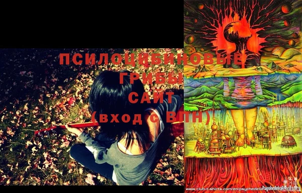 кокс Баксан