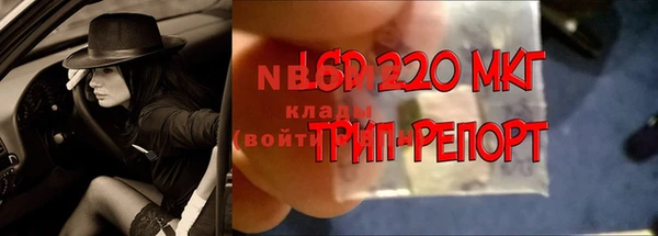 кокс Баксан