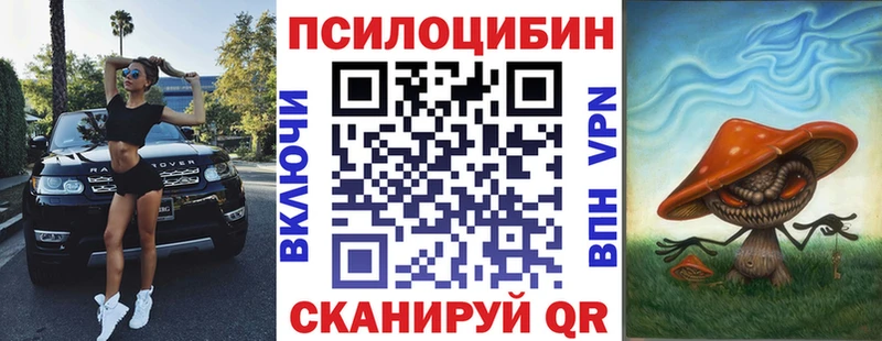 Галлюциногенные грибы Psilocybe  наркотики  Новая Ладога 