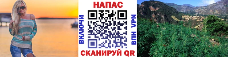 дарнет шоп  Новая Ладога  Конопля White Widow 